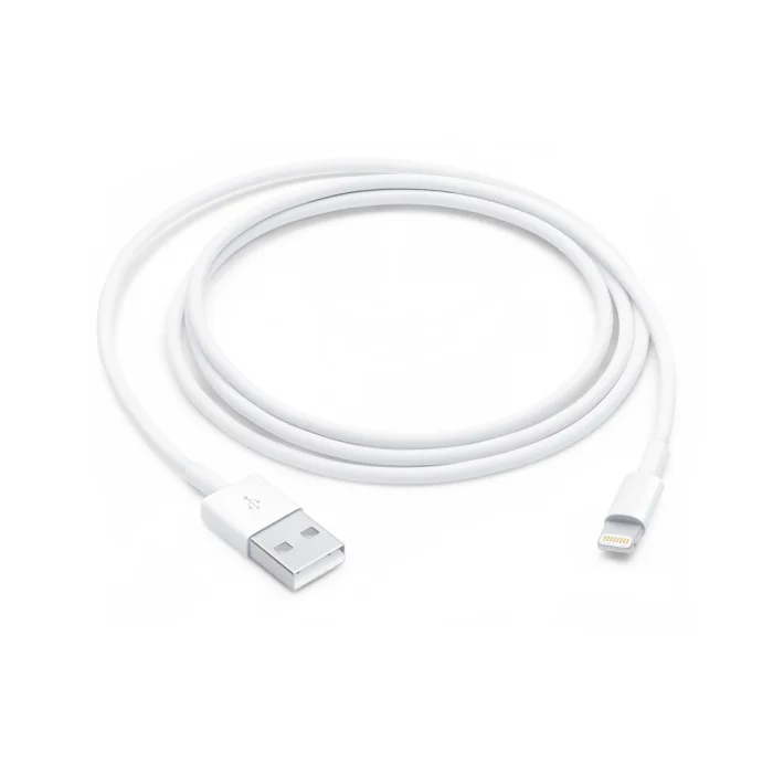 Câble Lightning vers USB (1 m)