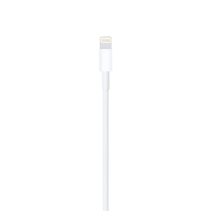 Câble Lightning vers USB (1 m)